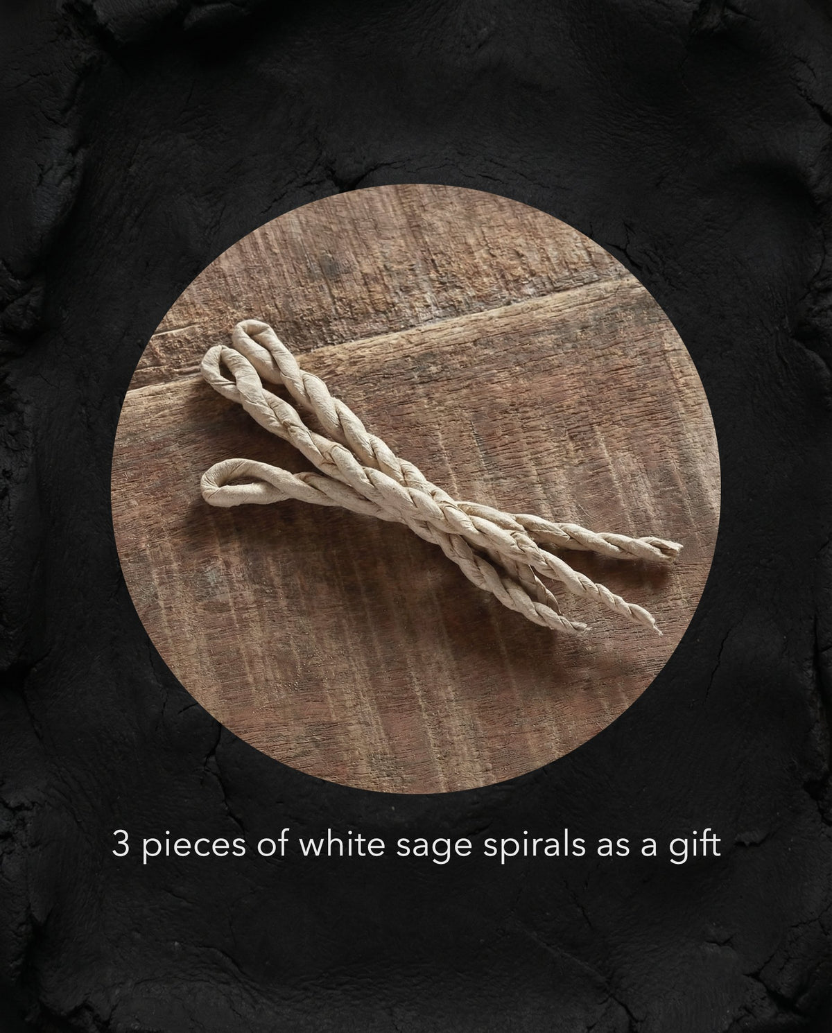SPIRAL INCENSE BASE no.1 — view 4