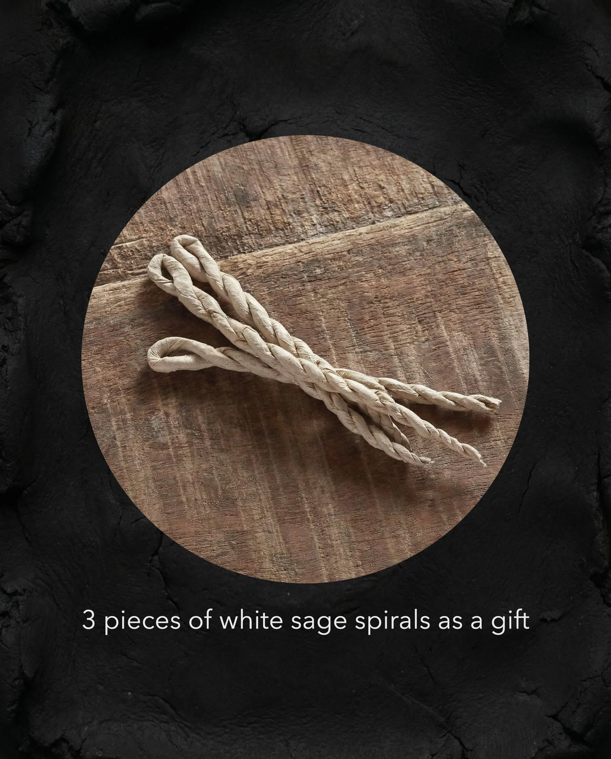 SPIRAL INCENSE BASE no.2 — view 4