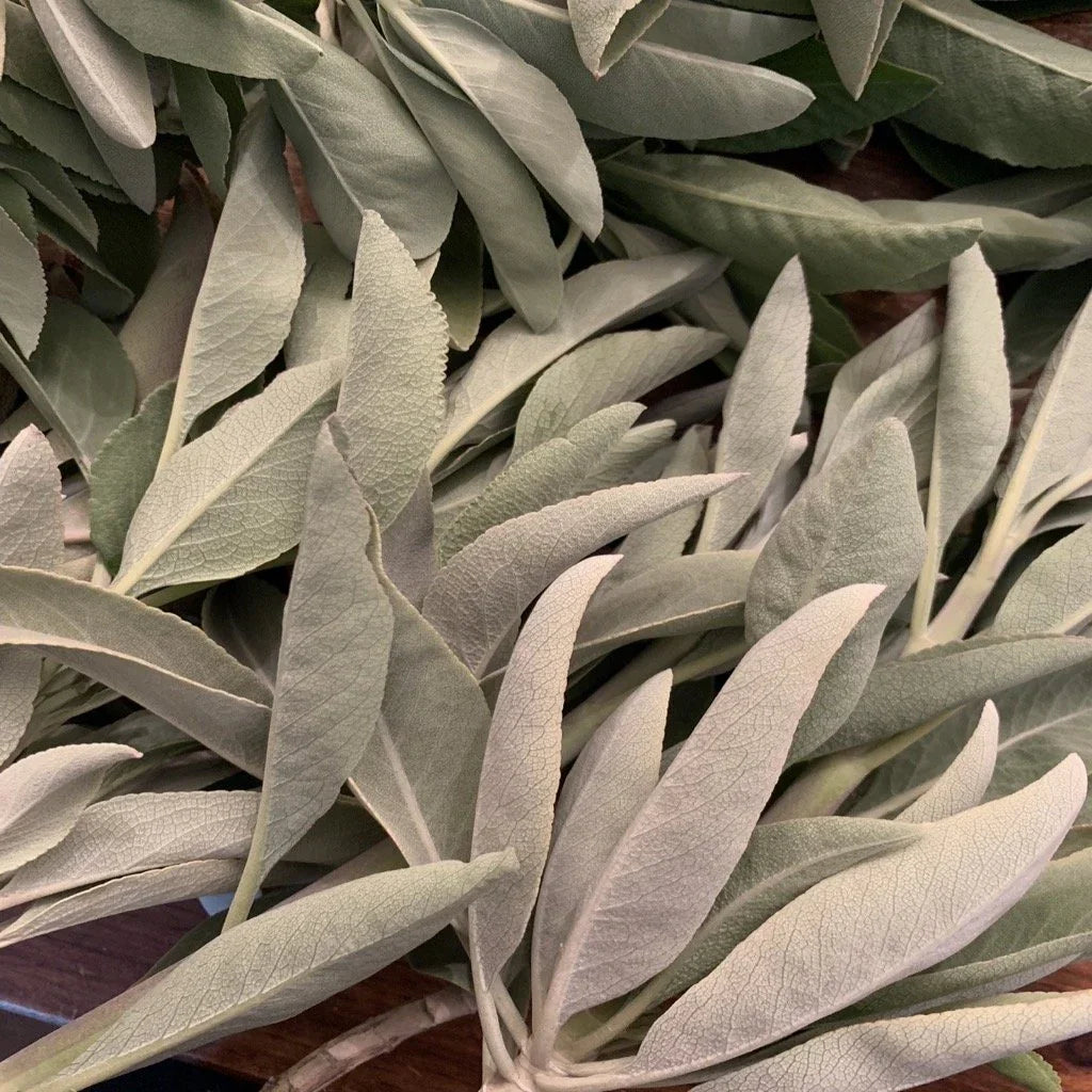 SPIRAL INCENSE BASE no.6 — view 5